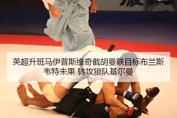 ying-chao-sheng-ban-ma-yi-pu-si-wei-qi-jie-hu-man-lian-mu-biao-bu-lan-si-wei-te-wei-guo-zhuan-gong-lang-dui-ji-er-man-2-373.jpg